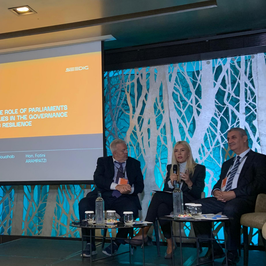 PAM-CGS at SEEDIG 2025, Athens, October 2025